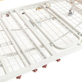 The Lomond Classic Low Electric Profiling Care Bed